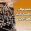 آزمایش کشش میلگرد : گام‌به‌گام با استانداردها و روش‌های اجرایی