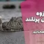 جزوه سیمان پرتلند – مقایسه سیمان‌های کلینکری و ASTM C150 و EN 197