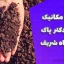 جزوه مکانیک خاک دکتر پاک | دانشگاه شریف