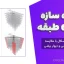 پروژه سازه بتنی ۶ طبقه | پروژه بتن ۴۰ مگاپاسکال با مقایسه قاب خمشی و دیوار برشی